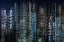 Picture of TOKYO LAYERS