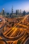 Picture of CURVACEOUS