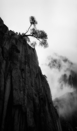 Picture of MT. HUANG