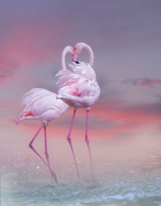 Picture of FLAMINGO BALLET