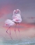 Picture of FLAMINGO BALLET