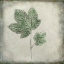 Picture of BEFORE THE DECAY