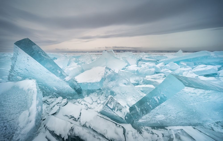 Picture of TOROSES OF BAIKAL