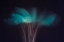 Picture of VISIONS IN THE DARK