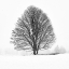 Picture of LONELY TREE