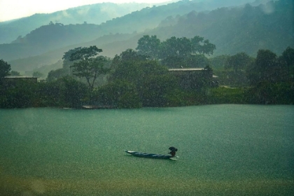 Picture of MONSOON BEAUTY