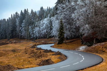 Picture of THE ROAD AND THE FROZEN TREES