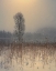 Picture of UNTITLED