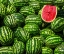 Picture of RED IN GREEN