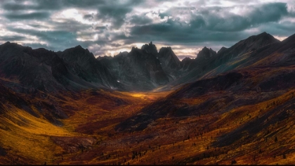 Picture of AUTUMN IN TOMBSTONE MOUNTAIN