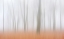 Picture of MISTY AUTUMNIMPRESSION