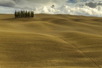 Picture of TUSCANY