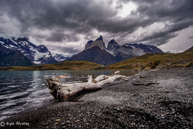 Picture of TORRES DEL PINE