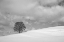 Picture of A CLOUDY WINTER DAY