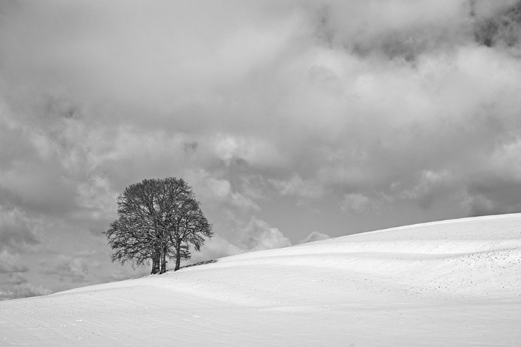 Picture of A CLOUDY WINTER DAY