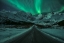 Picture of GREEN LADY