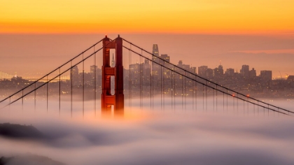 Picture of KARL, THE SAN FRANCISCO FOG