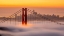 Picture of KARL, THE SAN FRANCISCO FOG