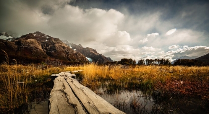 Picture of AUTUMN BRIDGE