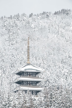 Picture of TOWER OF WINTER