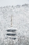 Picture of TOWER OF WINTER