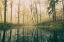 Picture of DARK WATER.