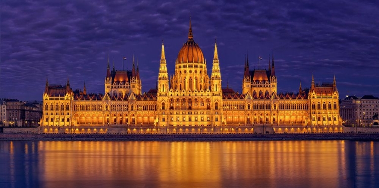 Picture of NIGHT IN PARLIAMENT