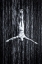 Picture of FINE DIVING