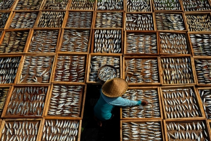 Picture of SALTED DRIED FISH
