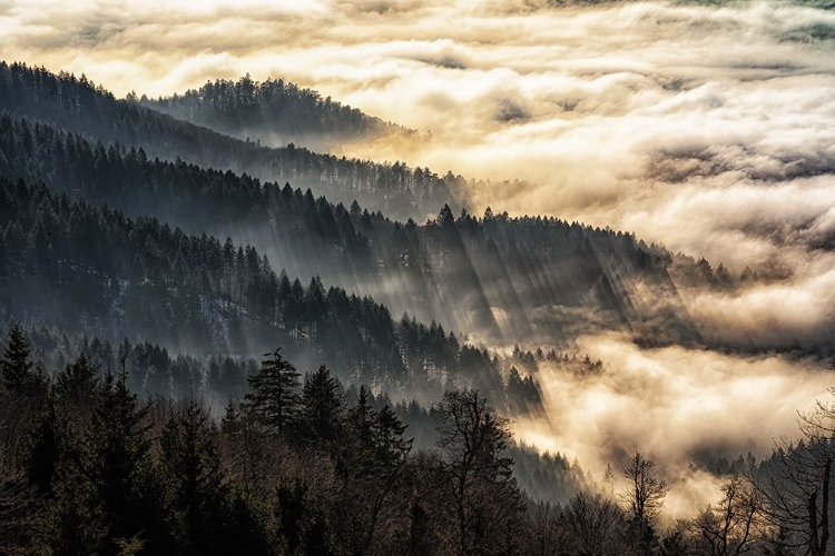 Picture of SUNSET ABOVE THE CLOUDS