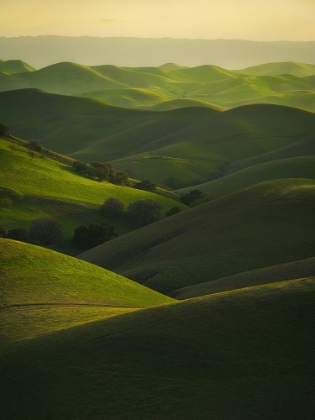 Picture of ROLLING HILLS