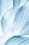 Picture of ICY WAVES