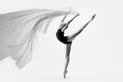 Picture of FLYING CLOTH BALLERINA