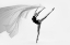 Picture of FLYING CLOTH BALLERINA