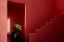 Picture of MURALLA ROJA #6