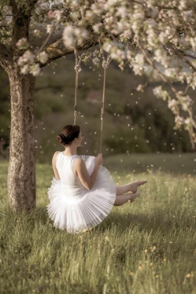 Picture of CHERRY TREE SWING