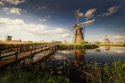 Picture of POSTCARDS FROM KINDERDIJK