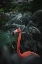 Picture of FLAMINGO