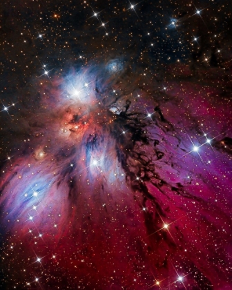 Picture of THE ANGEL NEBULA