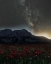 Picture of THE LIGHT POLLUTION