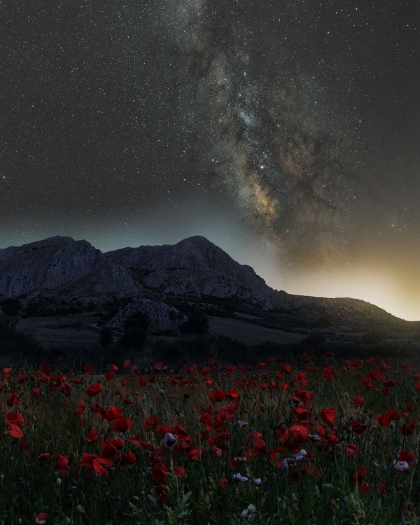 Picture of THE LIGHT POLLUTION