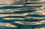 Picture of RIPPLES