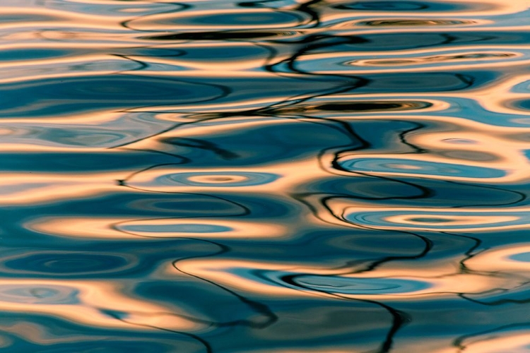 Picture of RIPPLES
