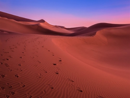 Picture of THE COLORS OF THE DESERT AT SUNSET