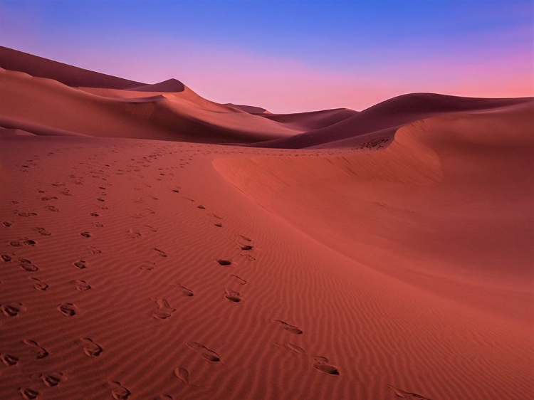 Picture of THE COLORS OF THE DESERT AT SUNSET