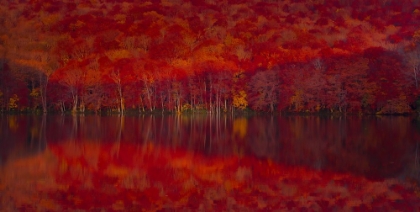 Picture of BURNING RED LEAVES
