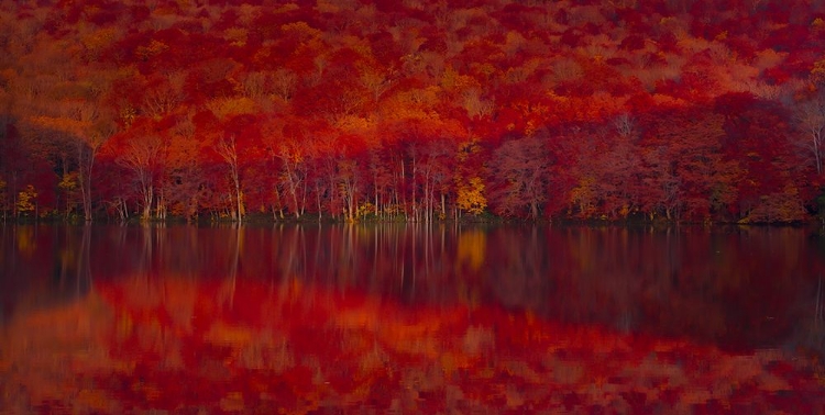 Picture of BURNING RED LEAVES