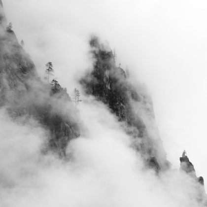 Picture of FOGGY MOUNTAIN