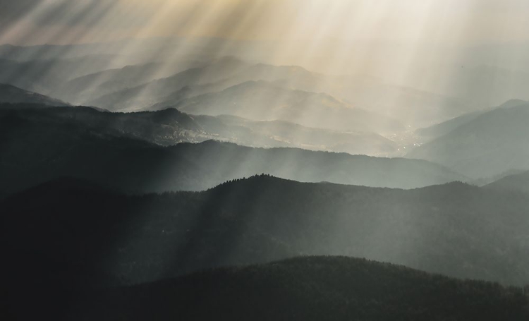 Picture of RAINING LIGHT