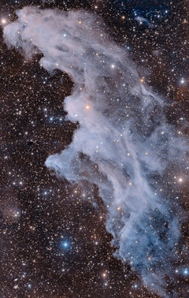 Picture of THE WITCH HEAD NEBULA